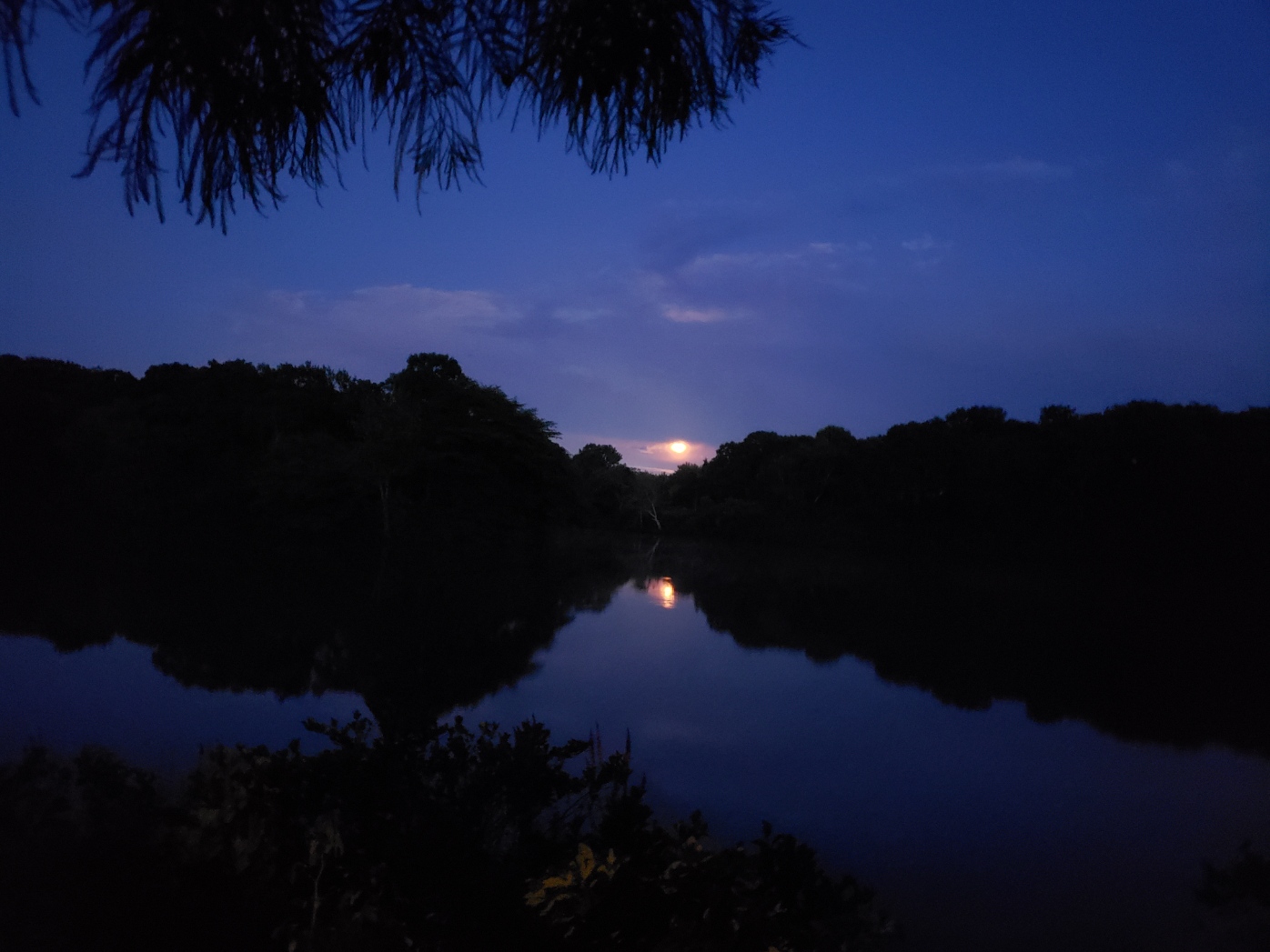 First light in blue dawn