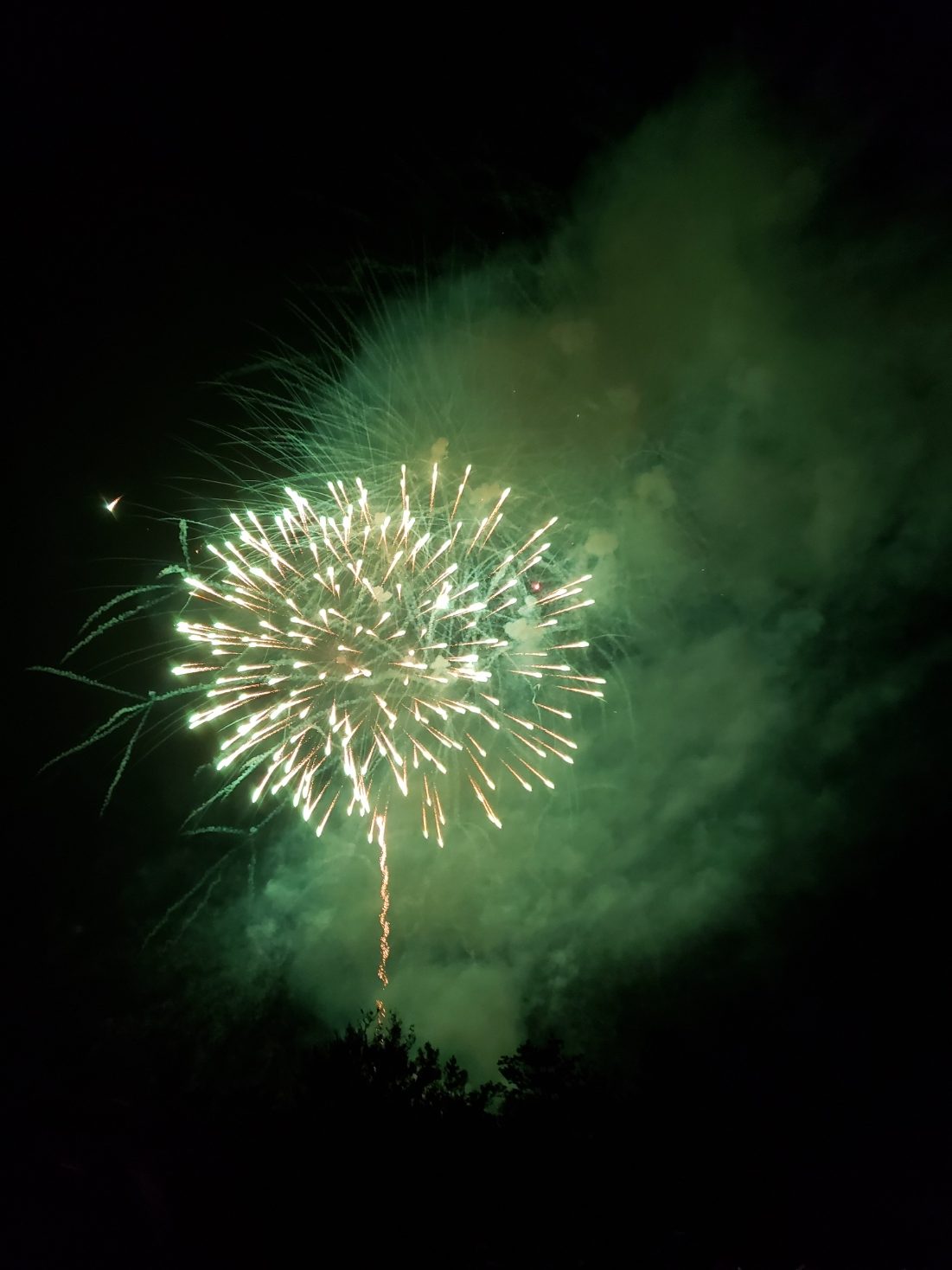 Fireworks Green Starburst